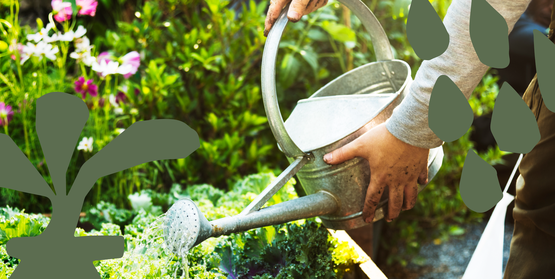 Close-up of a Seagrass Solutions landscape expert watering plants in a raised garden bed on a residential property in Bermuda